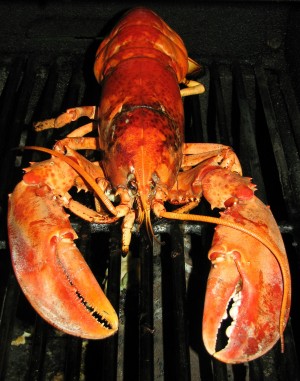 How to Grill Lobster - Do It All Working Mom